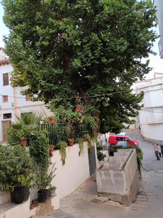 Apartamento El Pilar Guejar Sierra Exteriör bild